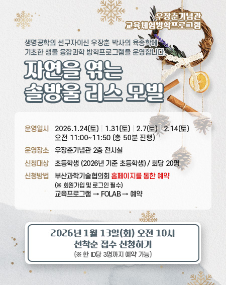 자연을 엮는 솔방울 리스 모빌